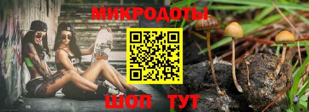 Псилоцибиновые грибы MAGIC MUSHROOMS Приморско-Ахтарск