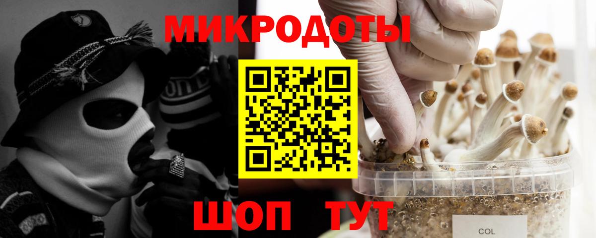 Псилоцибиновые грибы ЛСД  Вход с VPN  Приморско-Ахтарск 